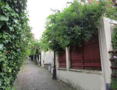 Buttes-Chaumont-Mouzaia-rue